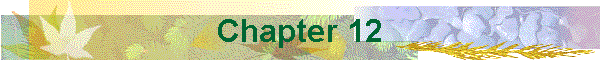 Chapter 12