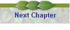 Next Chapter