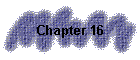 Chapter 16