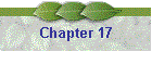 Chapter 17