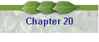 Chapter 20