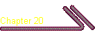Chapter 20
