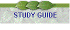 STUDY GUIDE