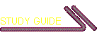 STUDY GUIDE